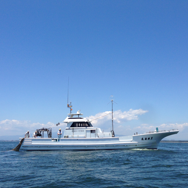 冷凍 ＊ 釜揚げしらす(250g) | 浜野水産 湘南丸